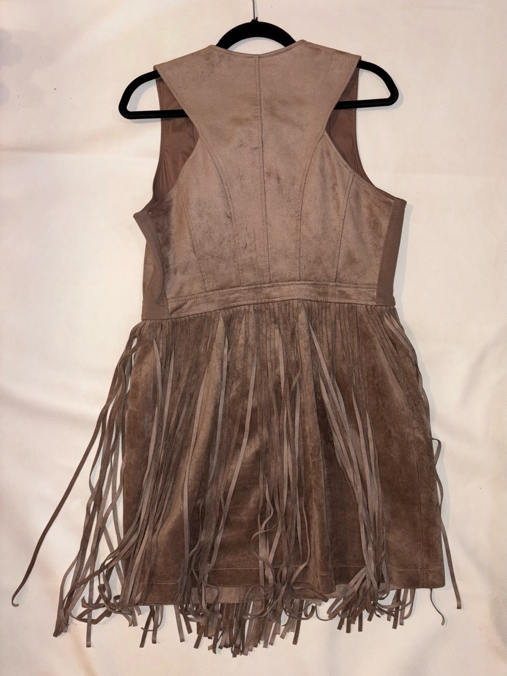 BCBGMaxAzria Taupe Fringe Suede Mini Dress - Picture 7 of 9